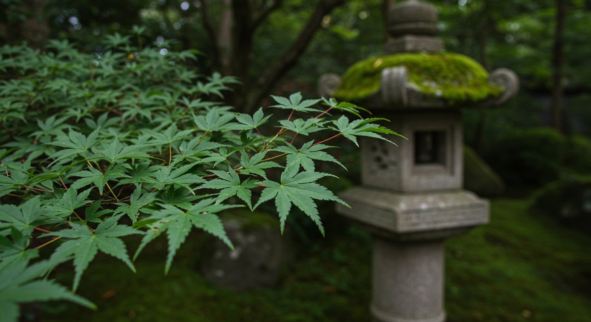 榊 植え て は いけ ない